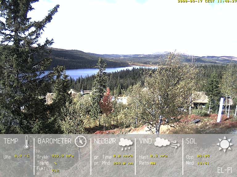 Camera Live Image